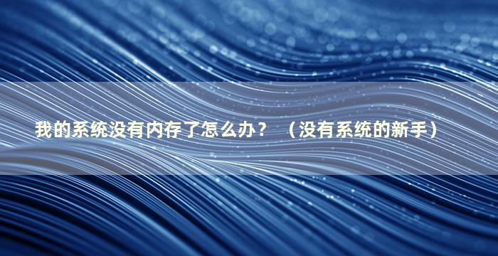 我的系统没有内存了怎么办？ （没有系统的新手）